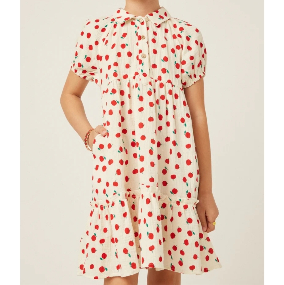 Hayden Apples Print Textured Button up collar dress